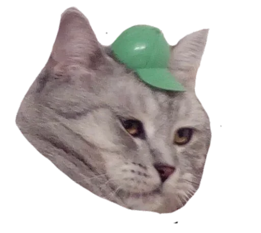 Стикер стикеры лизы!! :: @fStikBot - 3