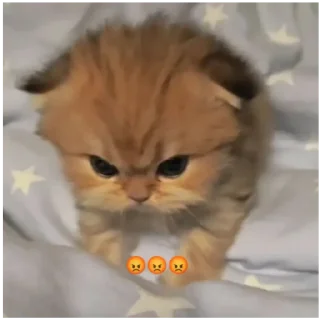 Sticker ПОНАБРАЛИ ЕБЛАНАВ - 7