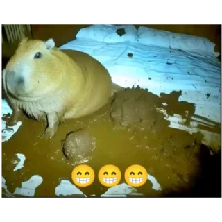 Sticker ПОНАБРАЛИ ЕБЛАНАВ - 10