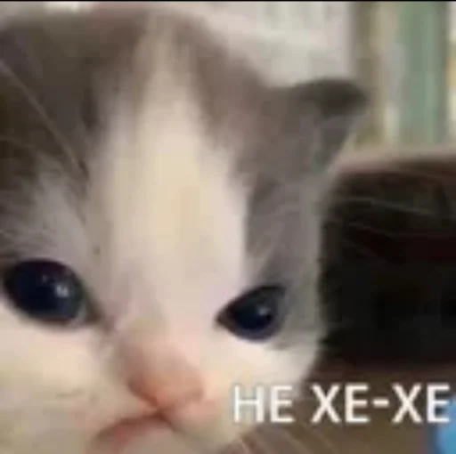 Стикер Damage0 - 1