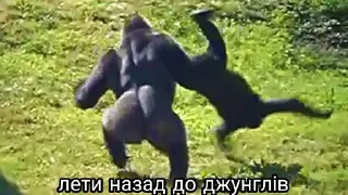 Стикер Made with me - 3