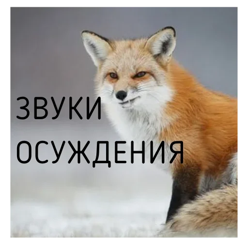 2024 @damnambivalence - 