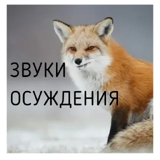 Sticker 2024 @damnambivalence - 3