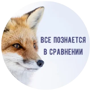 Sticker 2024 @damnambivalence - 8