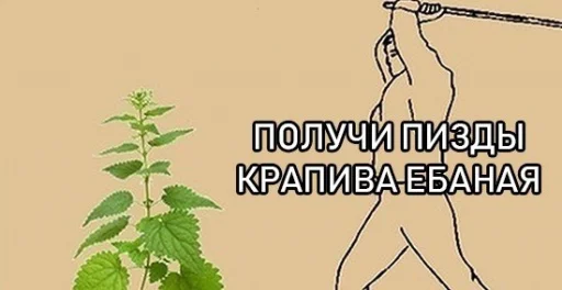 СМС растение