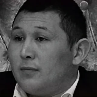 Sticker дикий данияр чорни тигр @naklzz @Otmorozokkairat - 8