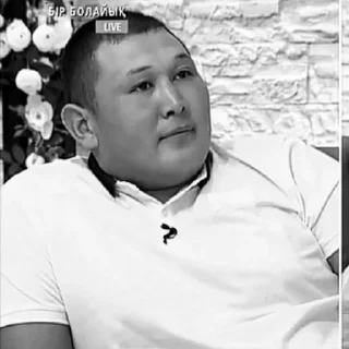 Sticker дикий данияр чорни тигр @naklzz @Otmorozokkairat - 11