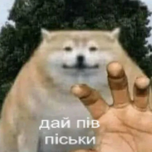 Sticker Danosmile - 1