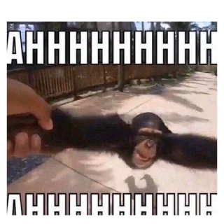 Sticker noicetry - 1