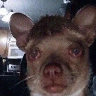 Sticker noicetry - 8