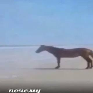 Sticker noicetry - 4