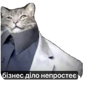 Sticker Кіт ©️ @Danilo_Momot - 10