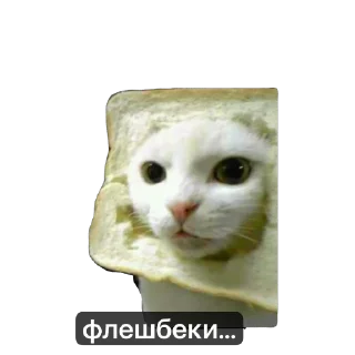 Sticker Кіт ©️ @Danilo_Momot - 9