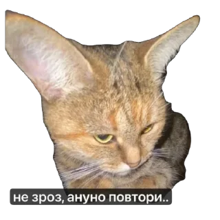 Sticker Кіт ©️ @Danilo_Momot - 3