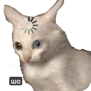 Sticker Кіт ©️ @Danilo_Momot - 11