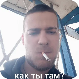 Sticker Даня даунил v2 - 8