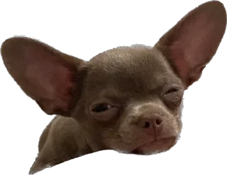 Стикер Чумба - 1