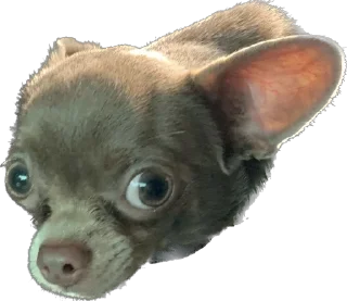 Стикер Чумба - 7