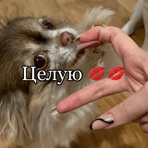 Стикер Dari3s - 1