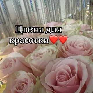 Sticker Дами дами - 1