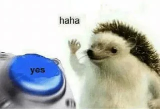 Sticker DarkDampSquibs Sticker - 4