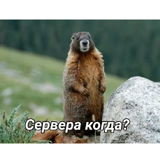 Sticker @darksidetm_official - 1