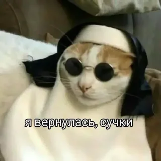 Sticker Dashunya❤️‍🔥🫠 - 3