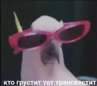 Sticker Dashunya❤️‍🔥🫠 - 5