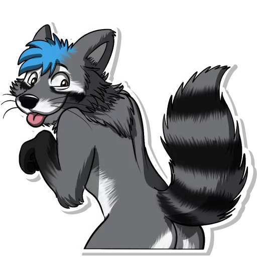 Dash Raccoon - 