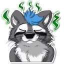 Sticker Dash Raccoon - 8