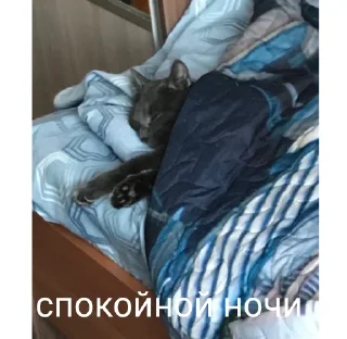 Sticker ДрифтЖига - 6