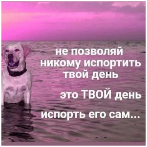 Стикер Dashinpak - 1