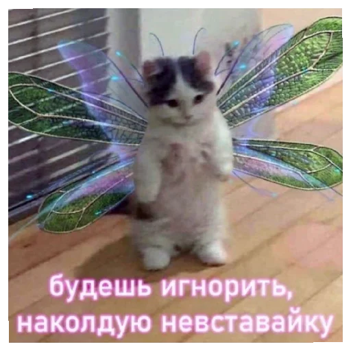 Sticker Dashinpak - 1