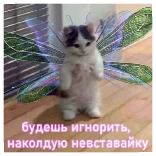 Sticker Дашинпак - 4