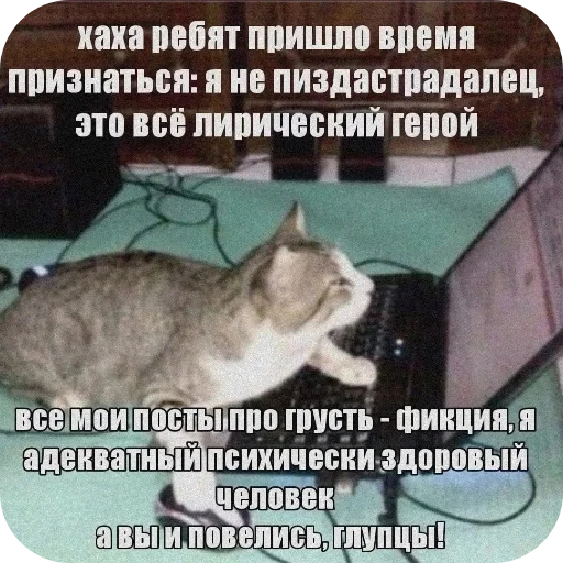 Sticker DatvosZhmysha - 1