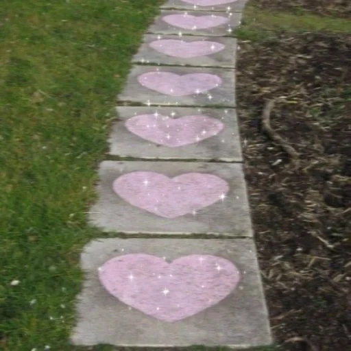 трава на открытом воздухе растение