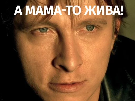 человеческое лицо бровь Человек