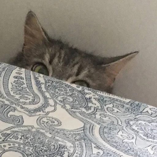 Стикер Biba and Boba - 11