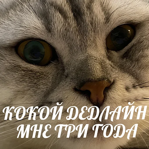 Стикер Biba and Boba - 10