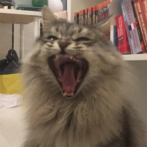 Стикер Biba and Boba - 9