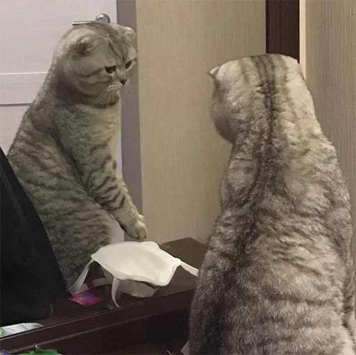 Стикер Biba and Boba - 6