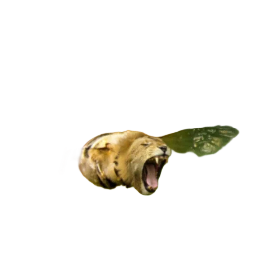 Sticker Davidcoviddd - 1