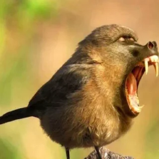 Sticker Lyceum team - 3