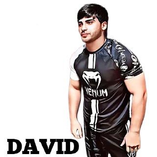 Sticker 𝐃𝐀𝐕𝐈𝐃 - 4