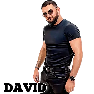 Sticker 𝐃𝐀𝐕𝐈𝐃 - 2