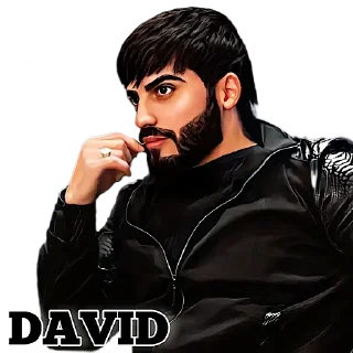 Sticker 𝐃𝐀𝐕𝐈𝐃 - 10