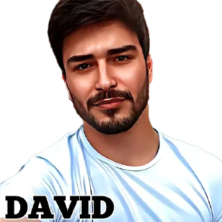 Sticker 𝐃𝐀𝐕𝐈𝐃 - 1