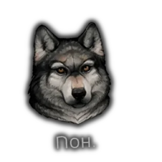 Стикер Day R стикерпак - 3