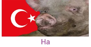 Стикер ДАЙ 🇺🇦🇺🇦🇺🇦 - 7