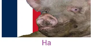 Стикер ДАЙ 🇺🇦🇺🇦🇺🇦 - 10